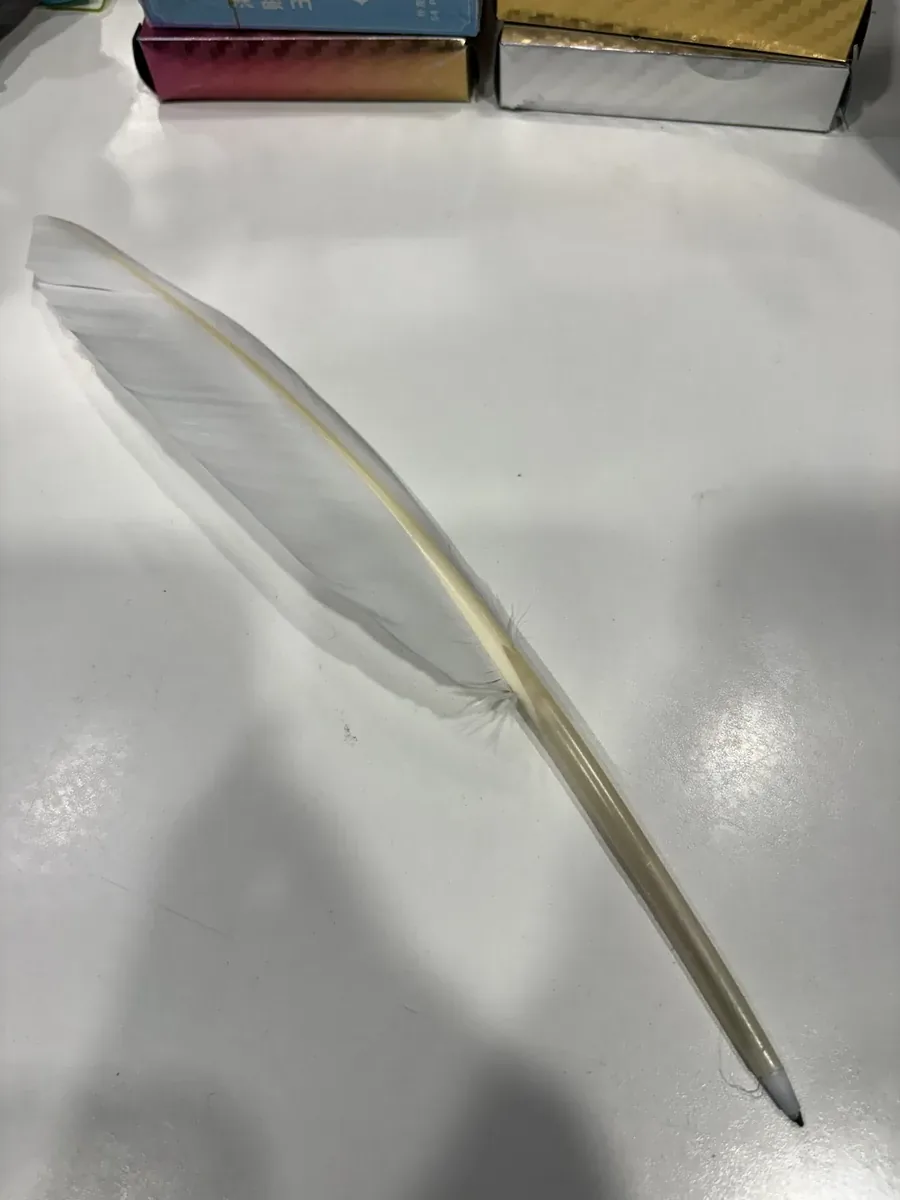 Feather Pen