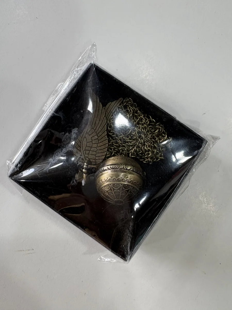 Harry potter lockate watch